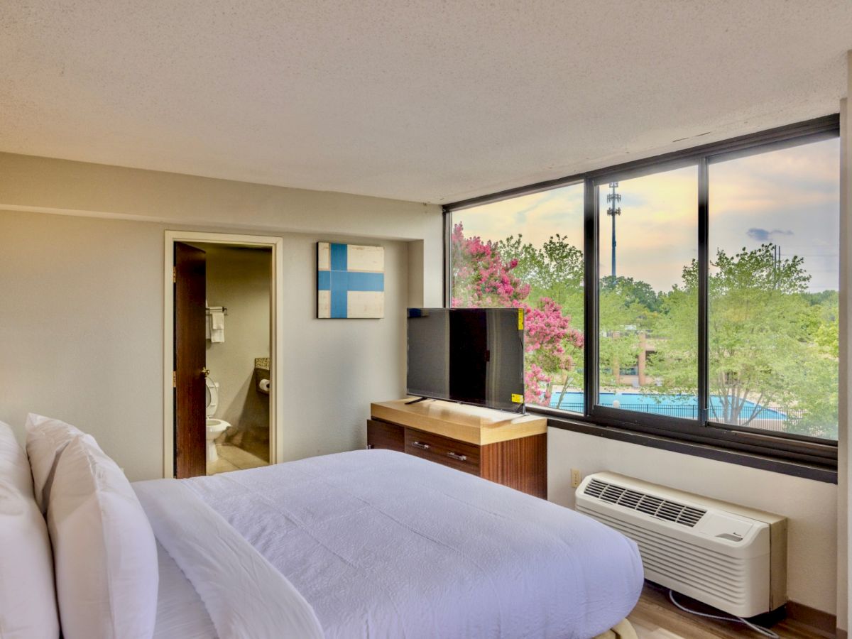A hotel room with a bed, TV, window view of trees and a pool, air conditioner, and a bathroom visible.