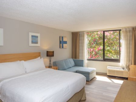 The image shows a hotel room with a large bed, a blue sofa, wall art, a window with curtains, and a TV across from the bed.