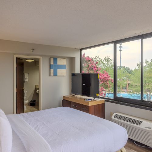 A hotel room features a neatly made bed, a flat-screen TV, an air conditioner, a view of trees and a pool, and a doorway leading to a bathroom.