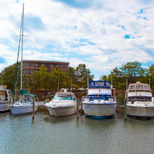 Several boats are docked at a marina with trees and a building in the background under a partly cloudy sky.