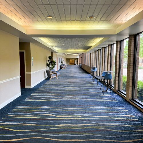 A long indoor corridor with patterned carpet, large windows, chairs, and decorative plants.