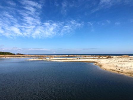 The image shows a coastal scene with a body of water in the foreground, sandy shores, a distant treeline, and a bright blue sky with scattered clouds.