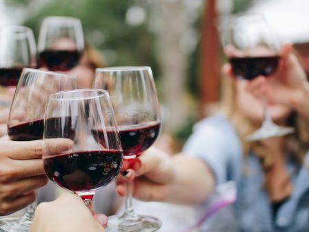 A group of people toasting with glasses of red wine outdoors, creating a celebratory and cheerful atmosphere.