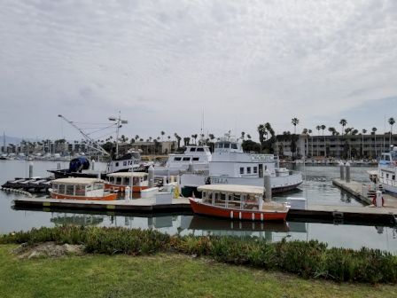 The image shows a marina with several docked boats, including tour boats and yachts, surrounded by buildings and palm trees under a partly cloudy sky.