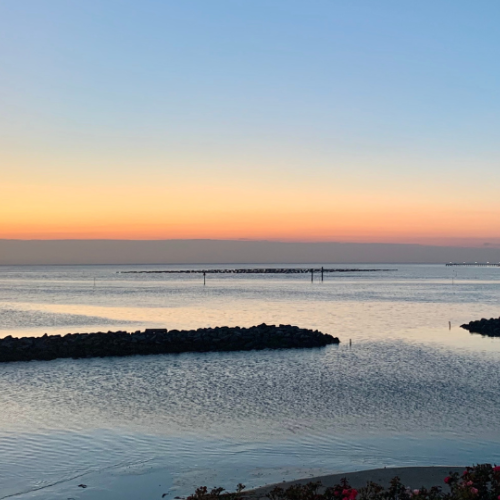 A serene coastal scene at sunset with calm waters, a distant horizon, small rocky breakwaters, and a few scattered flowers in the foreground.