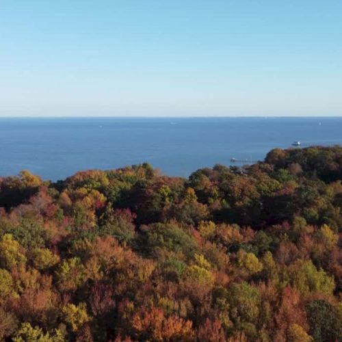 An aerial view shows a dense forest with autumnal foliage and a vast body of water in the background, under a clear blue sky.