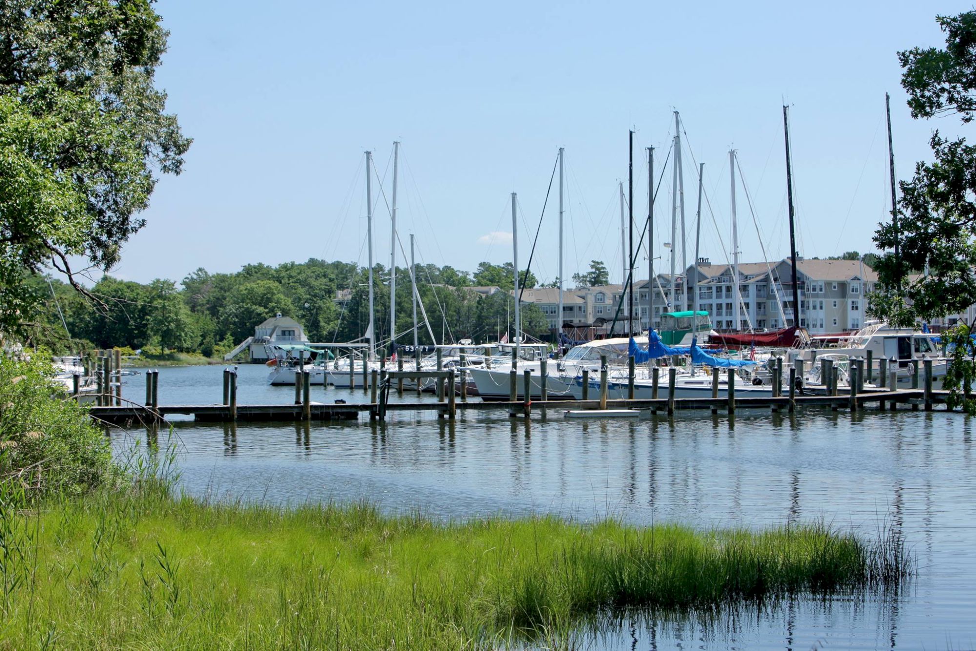 The image features a marina with sailboats docked along the water and greenery in the foreground, with buildings in the background.