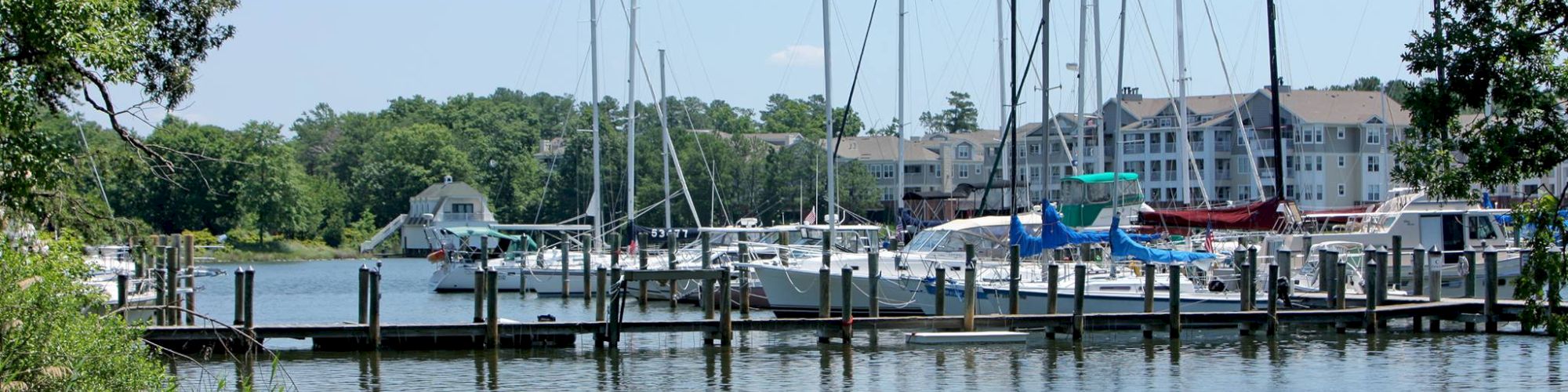 The image features a marina with sailboats docked along the water and greenery in the foreground, with buildings in the background.