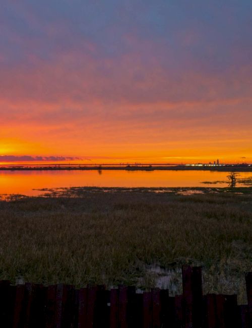 A stunning sunset over a tranquil body of water with marshy grass in the foreground and a distant city skyline on the horizon.